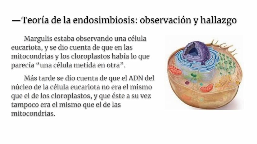 Lynn Margulis y la teoría de la
endosimbiosis
X -¿Quién fue Lynn Margulis?
Lynn Margulis fue una bióloga estadounidense famosa
por sus teorí