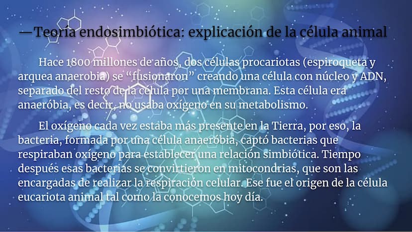 Lynn Margulis y la teoría de la
endosimbiosis
X -¿Quién fue Lynn Margulis?
Lynn Margulis fue una bióloga estadounidense famosa
por sus teorí