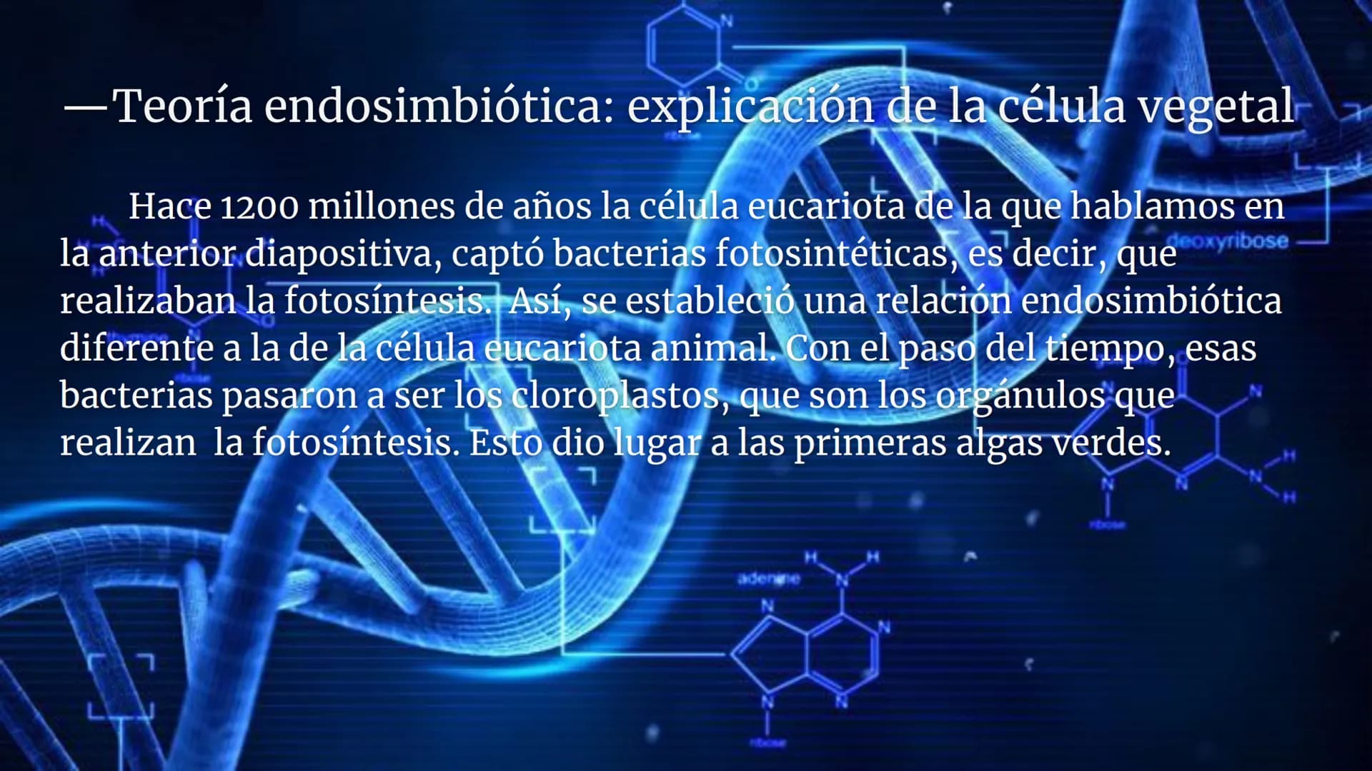 Lynn Margulis y la teoría de la
endosimbiosis
X -¿Quién fue Lynn Margulis?
Lynn Margulis fue una bióloga estadounidense famosa
por sus teorí