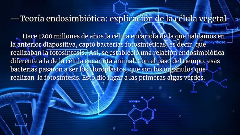 Lynn Margulis y la teoría de la
endosimbiosis
X -¿Quién fue Lynn Margulis?
Lynn Margulis fue una bióloga estadounidense famosa
por sus teorí