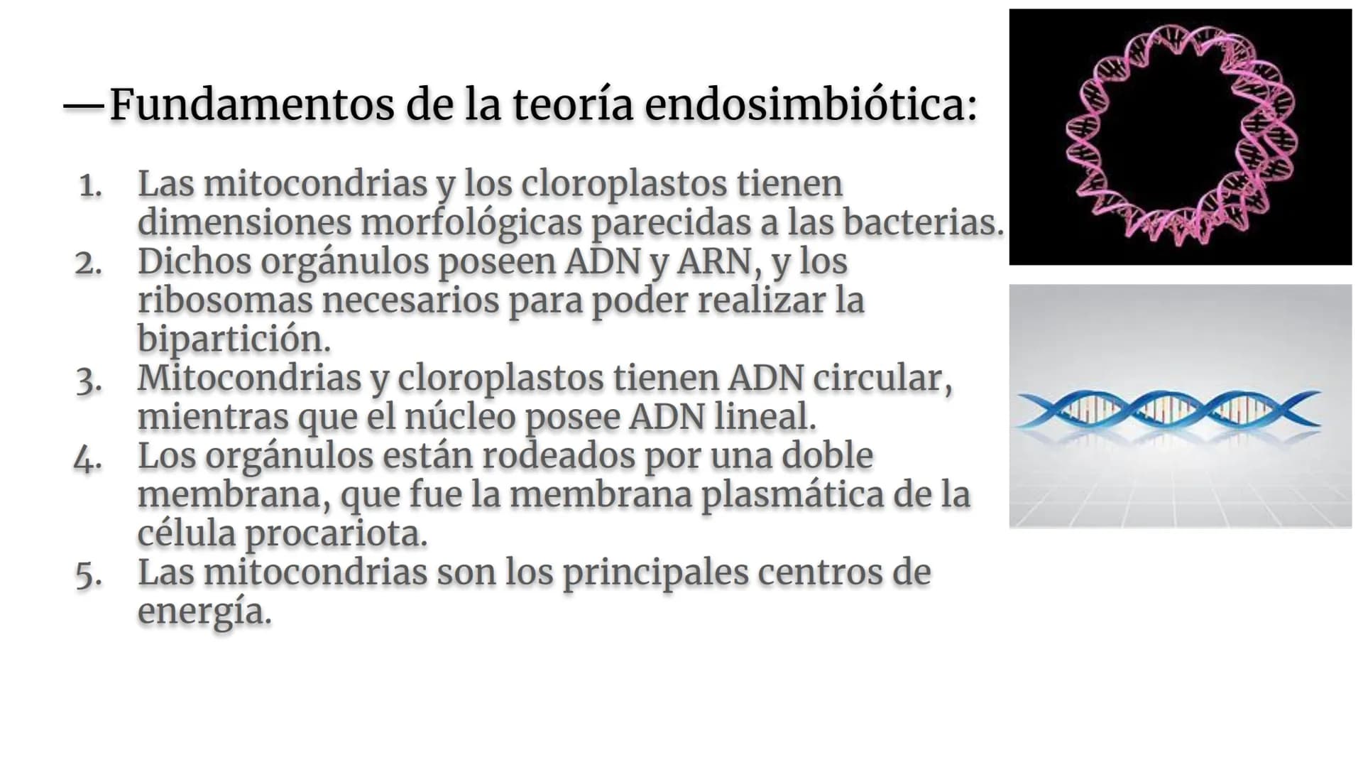 Lynn Margulis y la teoría de la
endosimbiosis
X -¿Quién fue Lynn Margulis?
Lynn Margulis fue una bióloga estadounidense famosa
por sus teorí