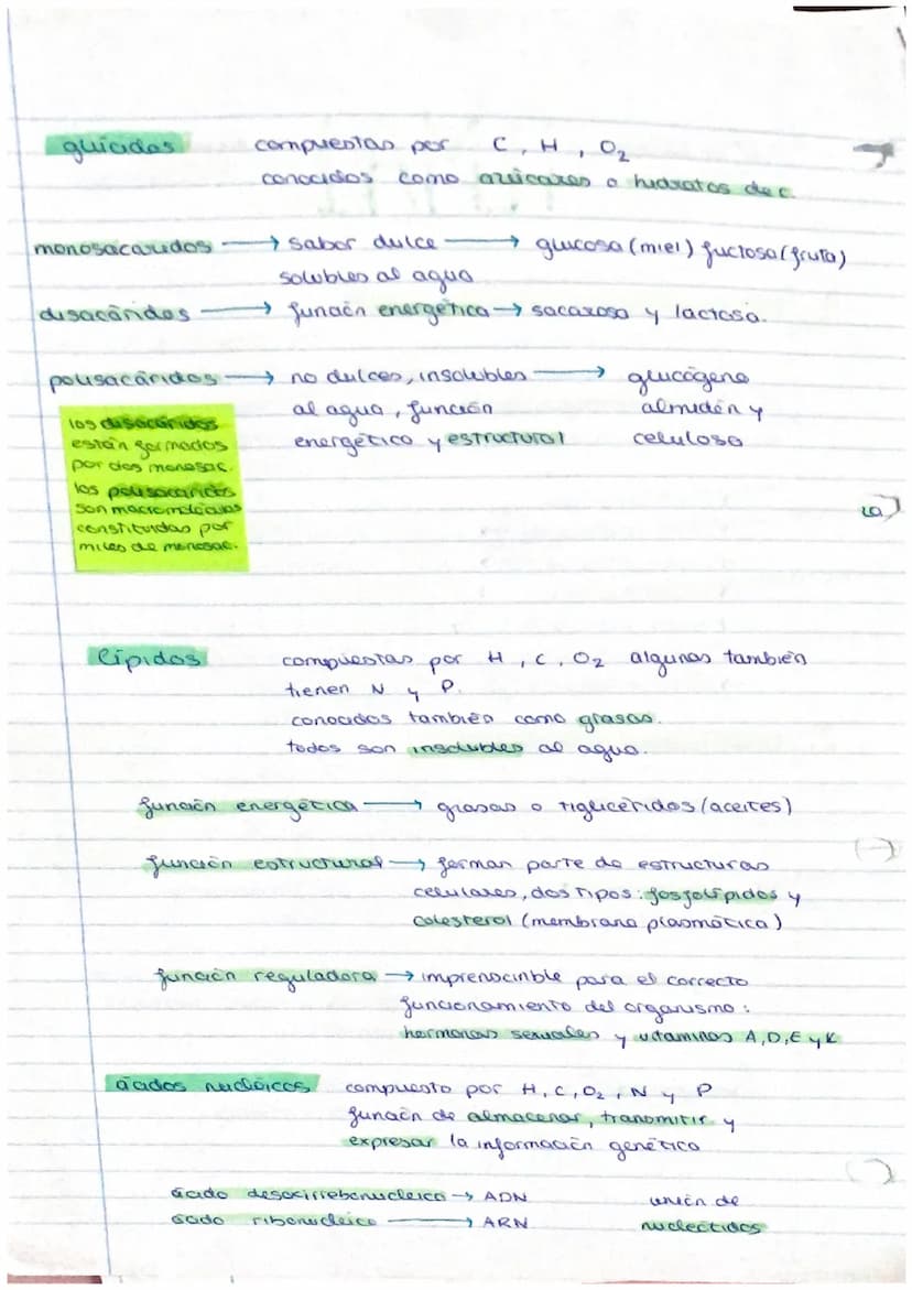 el ser humano
TEMA 1
nivel atómico
→ nivel molecular agua y
- nivel celular -
1. La organización del ser humano
El ser humano es un ser plur