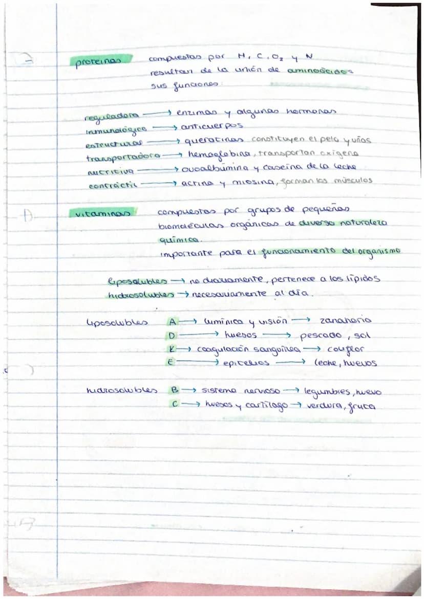 el ser humano
TEMA 1
nivel atómico
→ nivel molecular agua y
- nivel celular -
1. La organización del ser humano
El ser humano es un ser plur