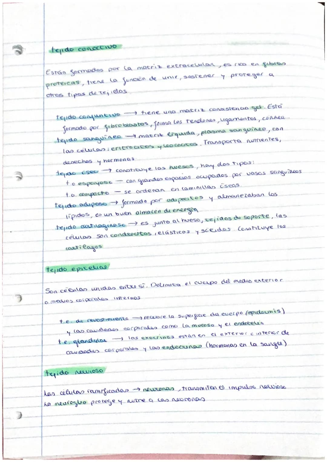 el ser humano
TEMA 1
nivel atómico
→ nivel molecular agua y
- nivel celular -
1. La organización del ser humano
El ser humano es un ser plur