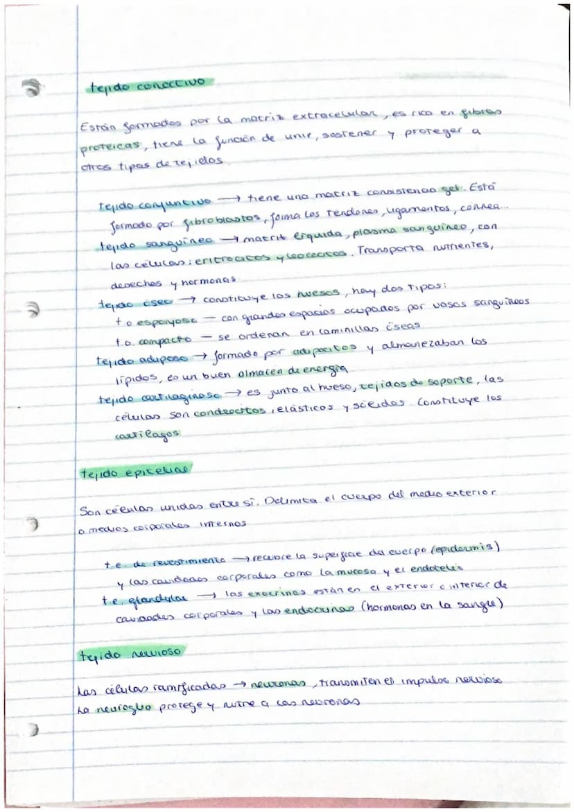 el ser humano
TEMA 1
nivel atómico
→ nivel molecular agua y
- nivel celular -
1. La organización del ser humano
El ser humano es un ser plur