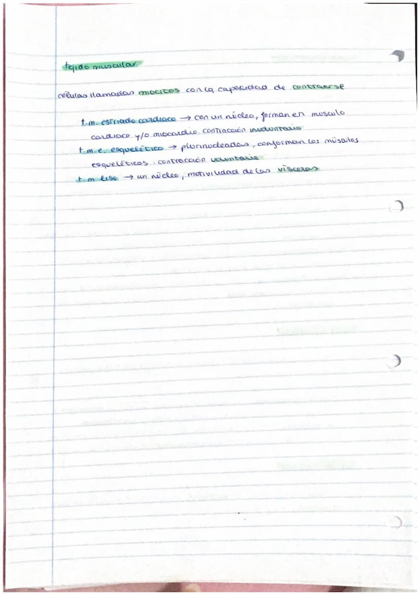 el ser humano
TEMA 1
nivel atómico
→ nivel molecular agua y
- nivel celular -
1. La organización del ser humano
El ser humano es un ser plur