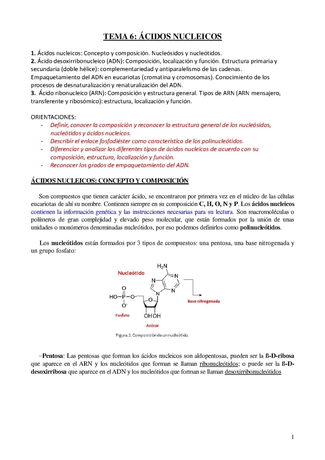 Todo sobre el ADN y ARN: Funciones, Bases Nitrogenadas y Empaquetamiento en Eucariotas