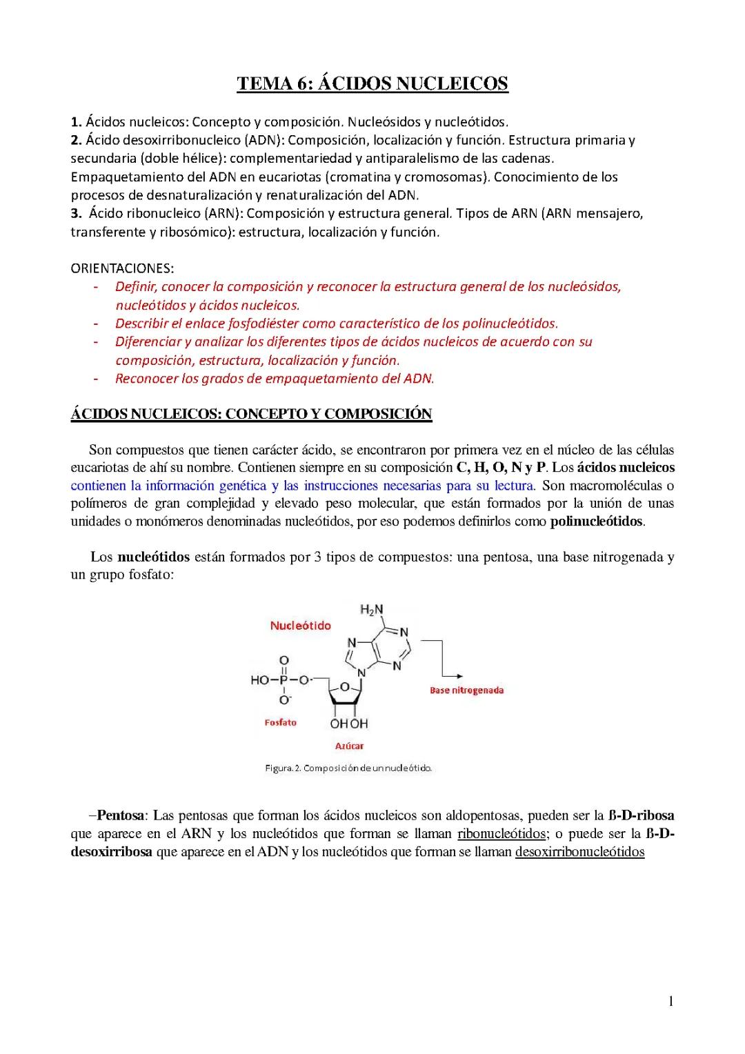 Todo sobre el ADN y ARN: Funciones, Bases Nitrogenadas y Empaquetamiento en Eucariotas