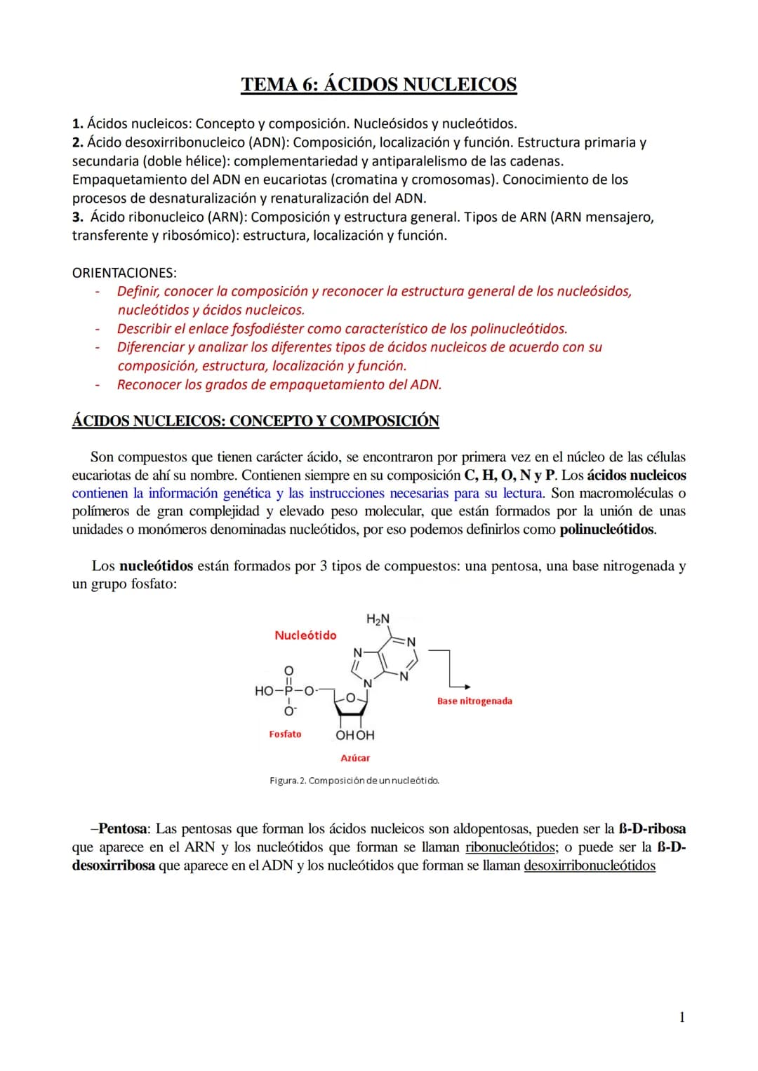 TEMA 6: ÁCIDOS NUCLEICOS
1. Ácidos nucleicos: Concepto y composición. Nucleósidos y nucleótidos.
2. Ácido desoxirribonucleico (ADN): Composi