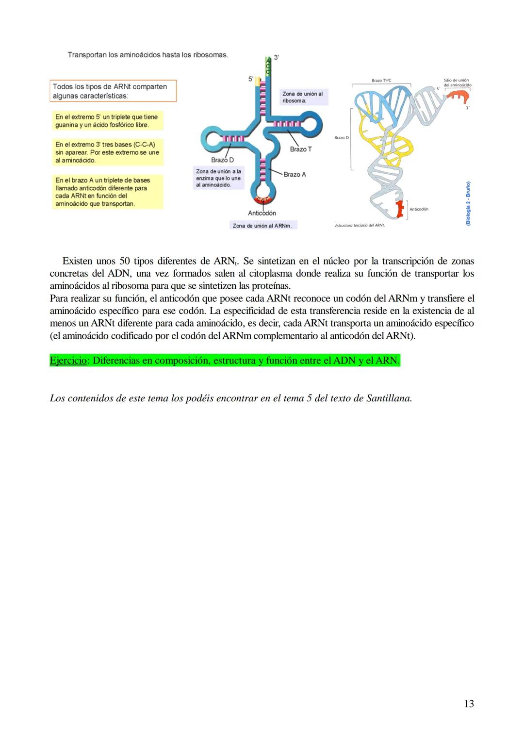 TEMA 6: ÁCIDOS NUCLEICOS
1. Ácidos nucleicos: Concepto y composición. Nucleósidos y nucleótidos.
2. Ácido desoxirribonucleico (ADN): Composi