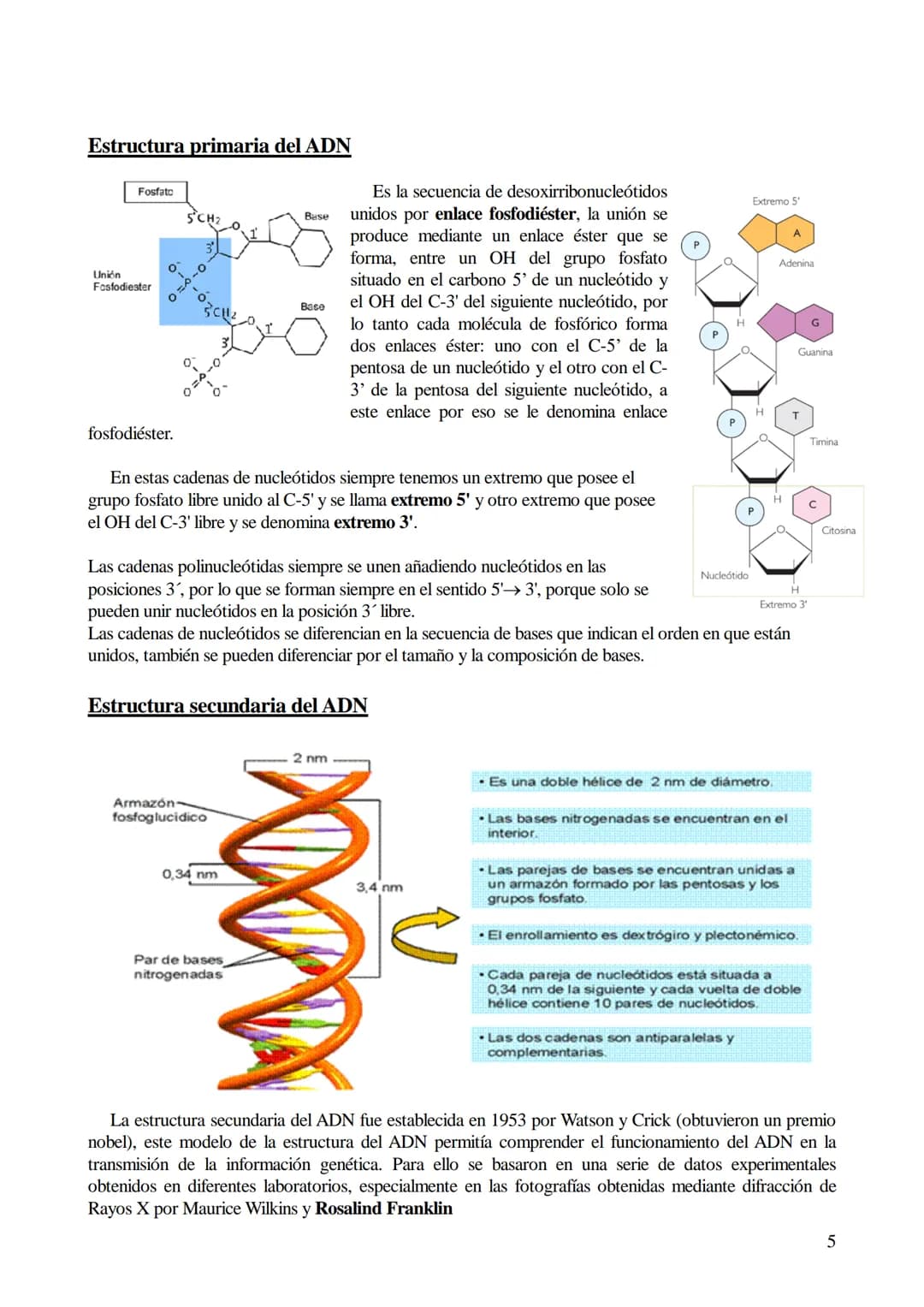 TEMA 6: ÁCIDOS NUCLEICOS
1. Ácidos nucleicos: Concepto y composición. Nucleósidos y nucleótidos.
2. Ácido desoxirribonucleico (ADN): Composi