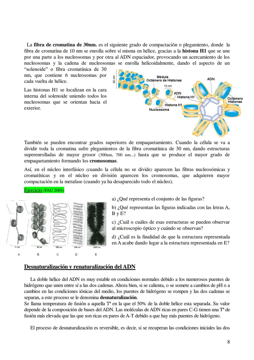 TEMA 6: ÁCIDOS NUCLEICOS
1. Ácidos nucleicos: Concepto y composición. Nucleósidos y nucleótidos.
2. Ácido desoxirribonucleico (ADN): Composi