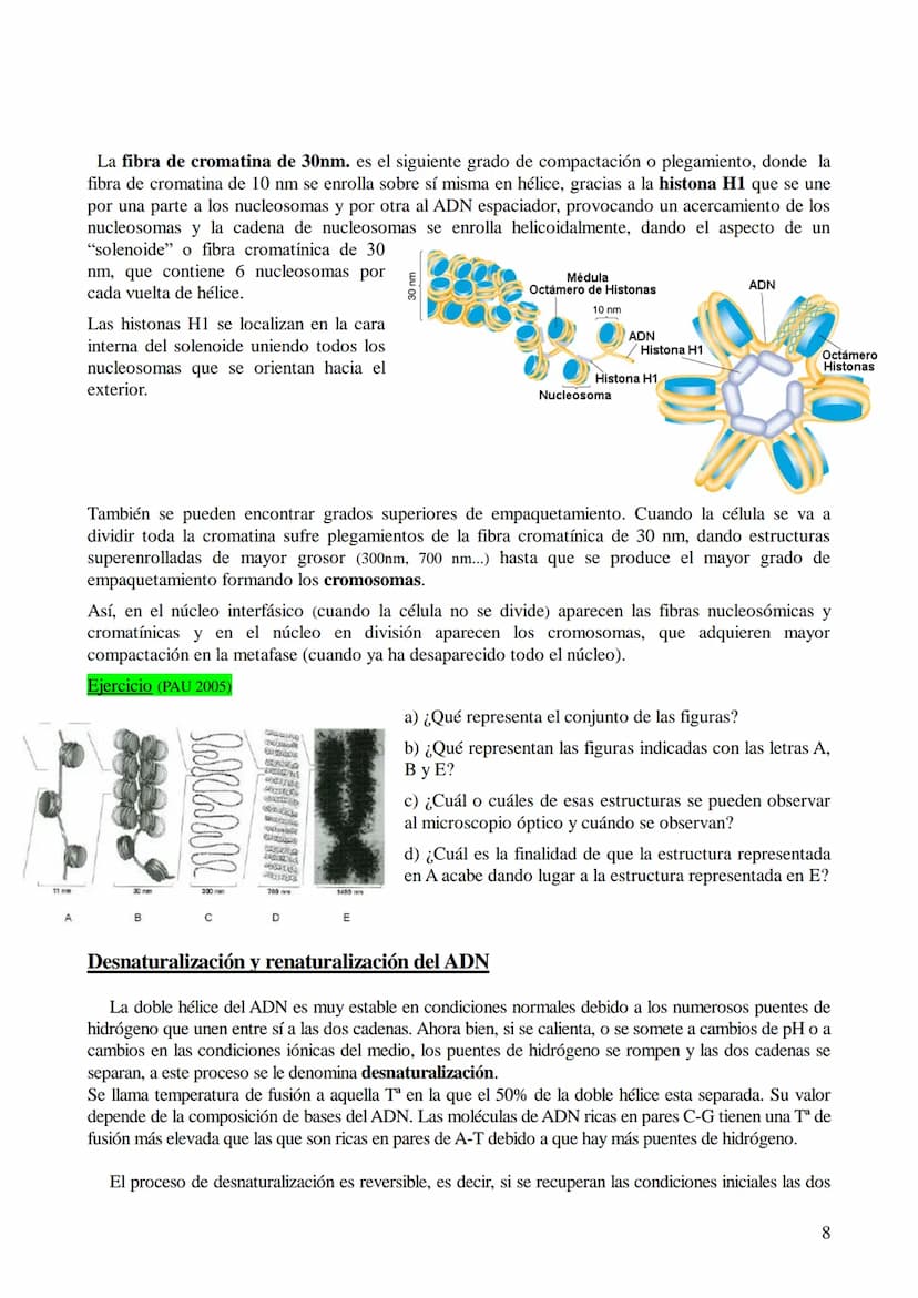 TEMA 6: ÁCIDOS NUCLEICOS
1. Ácidos nucleicos: Concepto y composición. Nucleósidos y nucleótidos.
2. Ácido desoxirribonucleico (ADN): Composi