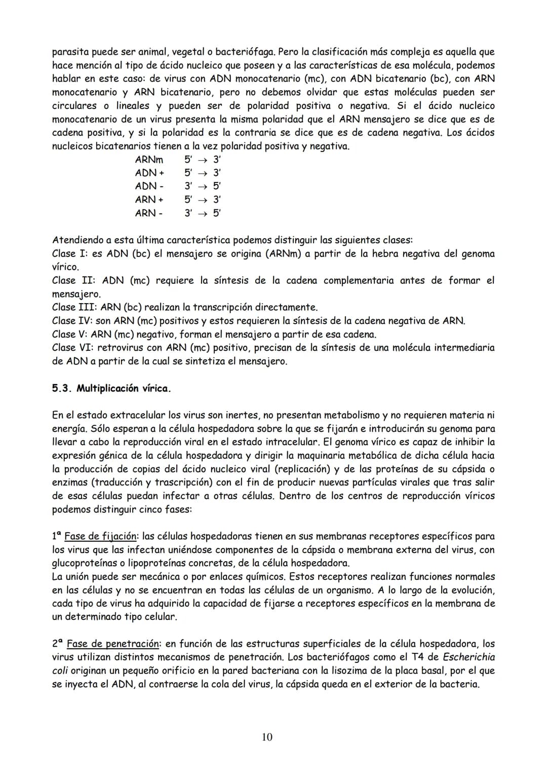 TEMA 3: MICROBIOLOGÍA Y BIOTECNOLOGÍA
EVOLUCIÓN HISTÓRICA DE LA MICROBIOLOGÍA
2. MICROORGANISMO, CONCEPTO Y HETEROGENEIDAD.
MICROORGANISMOS 