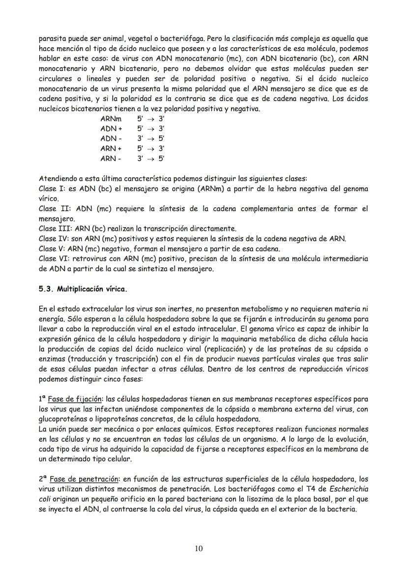 TEMA 3: MICROBIOLOGÍA Y BIOTECNOLOGÍA
EVOLUCIÓN HISTÓRICA DE LA MICROBIOLOGÍA
2. MICROORGANISMO, CONCEPTO Y HETEROGENEIDAD.
MICROORGANISMOS 
