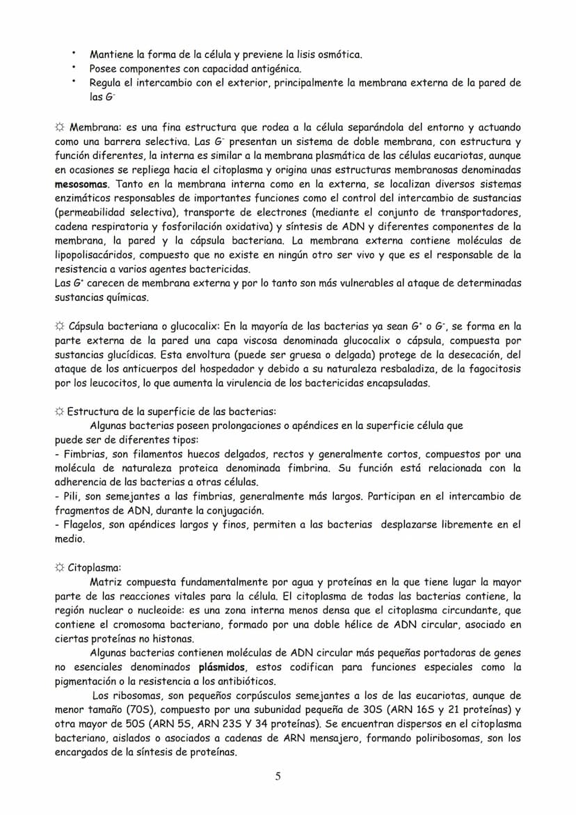 TEMA 3: MICROBIOLOGÍA Y BIOTECNOLOGÍA
EVOLUCIÓN HISTÓRICA DE LA MICROBIOLOGÍA
2. MICROORGANISMO, CONCEPTO Y HETEROGENEIDAD.
MICROORGANISMOS 