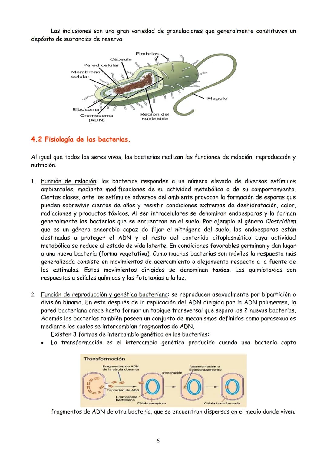 TEMA 3: MICROBIOLOGÍA Y BIOTECNOLOGÍA
EVOLUCIÓN HISTÓRICA DE LA MICROBIOLOGÍA
2. MICROORGANISMO, CONCEPTO Y HETEROGENEIDAD.
MICROORGANISMOS 