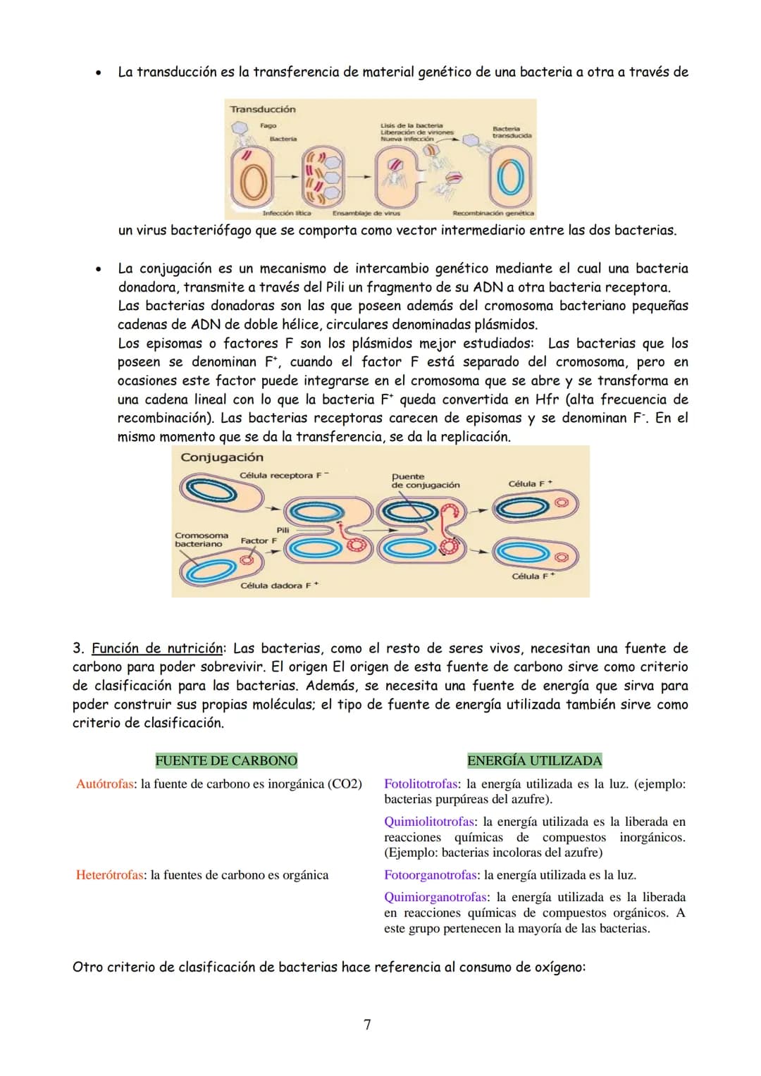 TEMA 3: MICROBIOLOGÍA Y BIOTECNOLOGÍA
EVOLUCIÓN HISTÓRICA DE LA MICROBIOLOGÍA
2. MICROORGANISMO, CONCEPTO Y HETEROGENEIDAD.
MICROORGANISMOS 