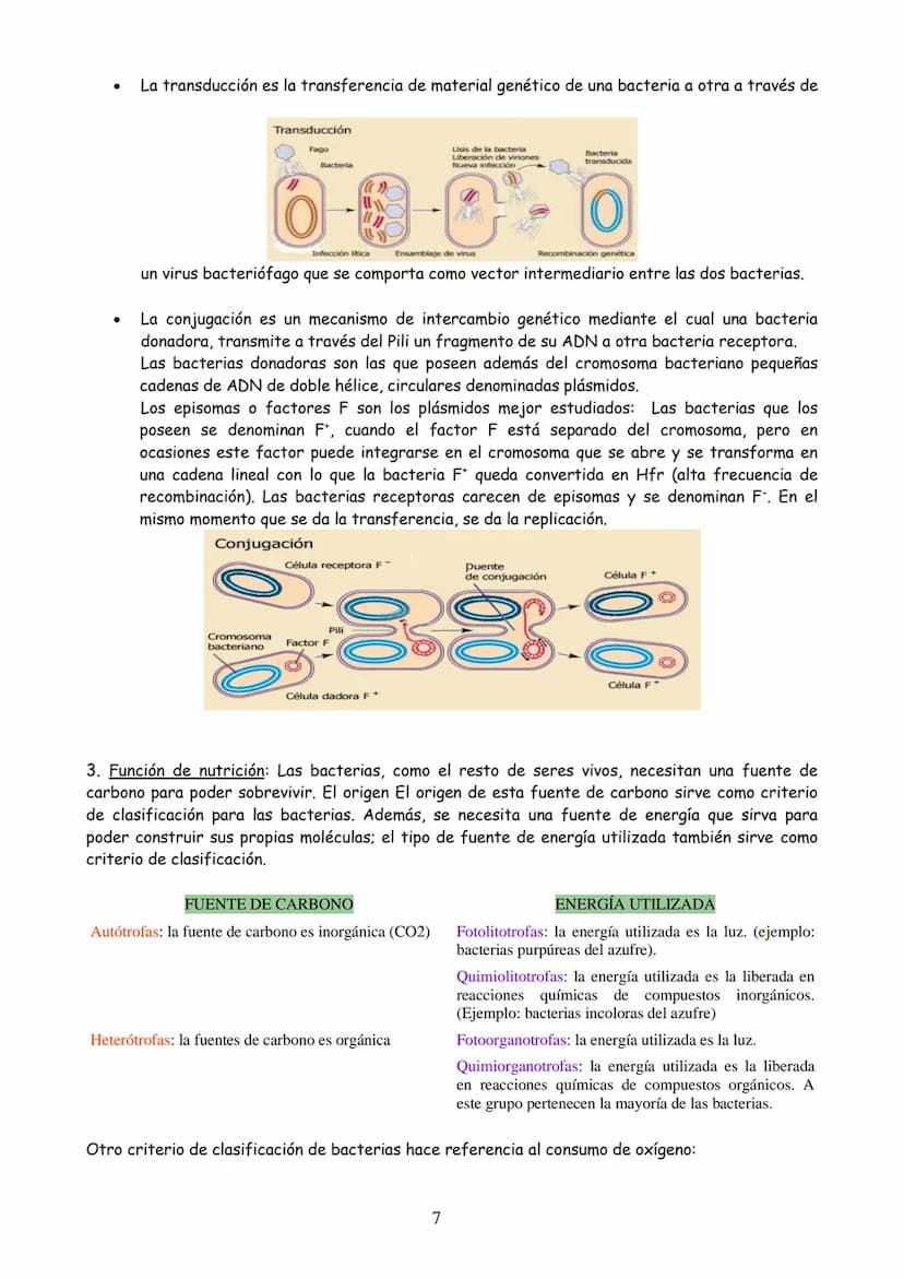 TEMA 3: MICROBIOLOGÍA Y BIOTECNOLOGÍA
EVOLUCIÓN HISTÓRICA DE LA MICROBIOLOGÍA
2. MICROORGANISMO, CONCEPTO Y HETEROGENEIDAD.
MICROORGANISMOS 