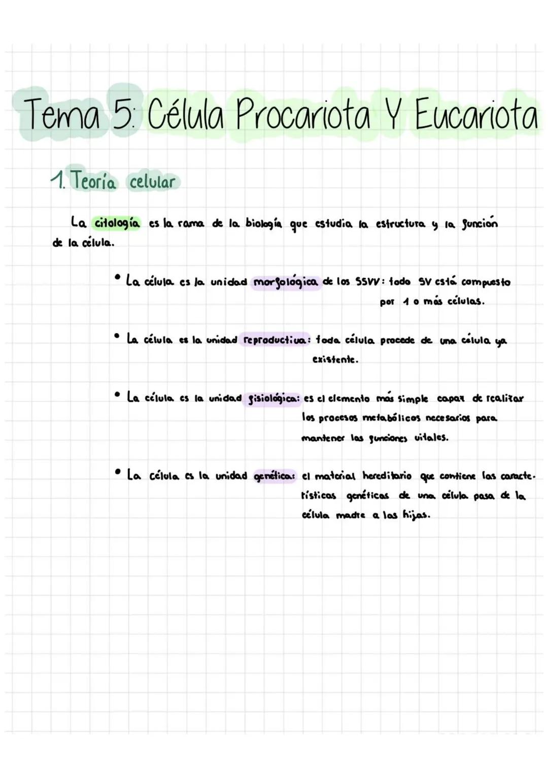 Diferencias y Semejanzas entre Células Eucariotas y Procariotas para 2º de Bachillerato