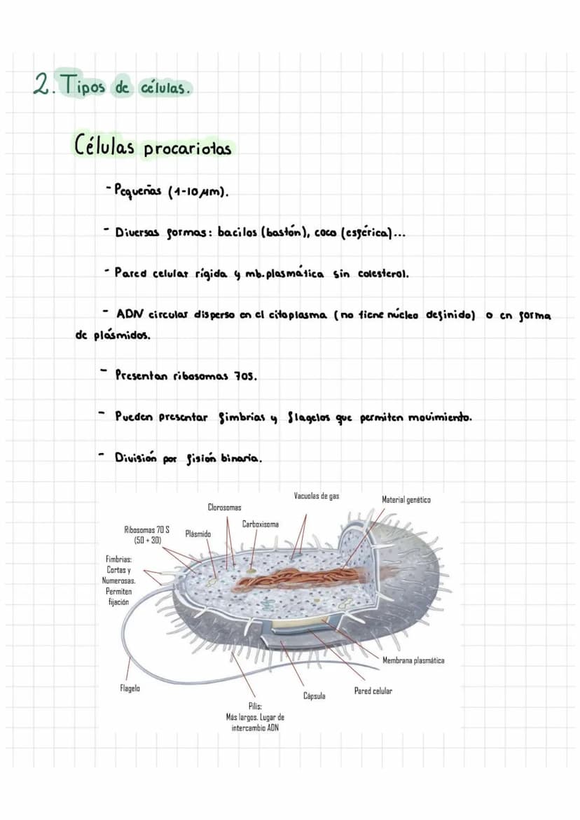 Tema 5: Célula Procariota Y Eucariota
1. Teoría celular
La citología es la rama de la biología que estudia la estructura y la función
de la 