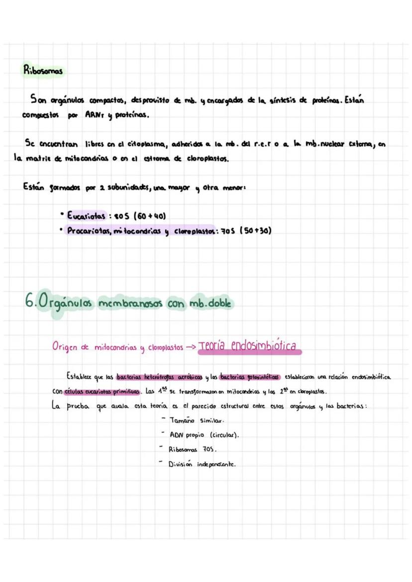 Tema 5: Célula Procariota Y Eucariota
1. Teoría celular
La citología es la rama de la biología que estudia la estructura y la función
de la 