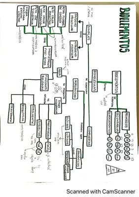 Know Apuntes de bioelementos y biomoléculas thumbnail