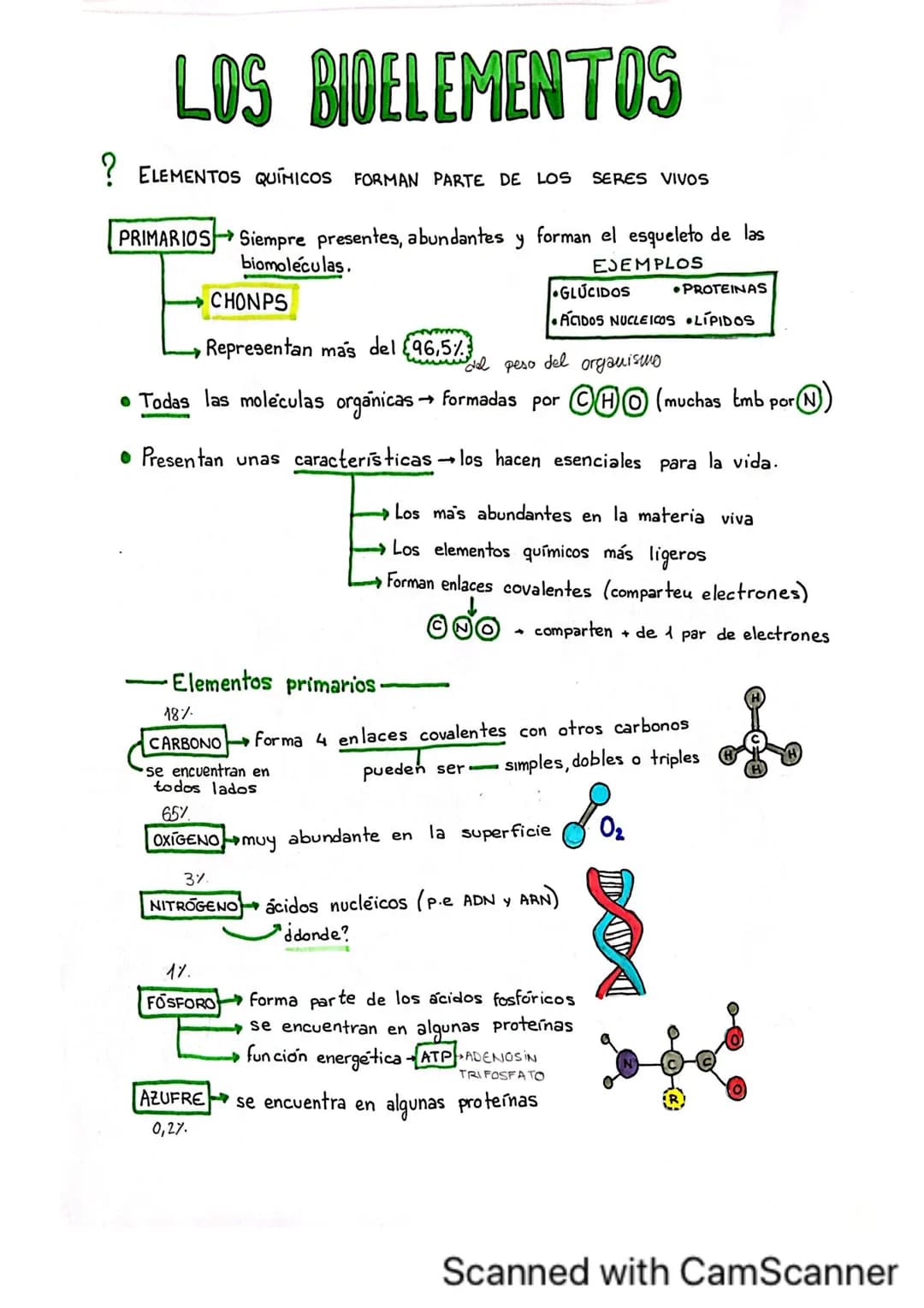 BIDELEMENTOS
no mas
2 átomos
OXIGENO
MOLECULAR
ALTAS FUERZAS
DE COHESION
ALTO CALOR
ESPECÍFICO
ALTO CALOR
VAPORIZACIÓN
ALTA CTE
DIELÉCTRICA
