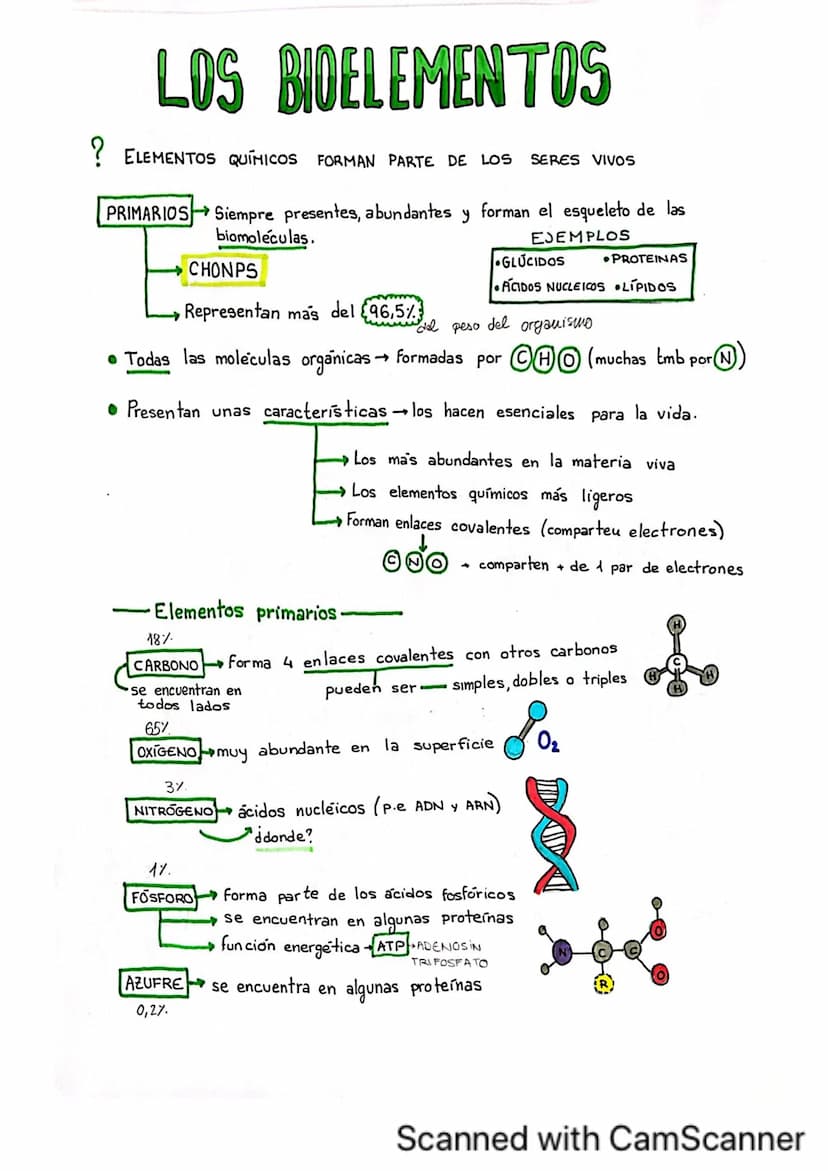 BIDELEMENTOS
no mas
2 átomos
OXIGENO
MOLECULAR
ALTAS FUERZAS
DE COHESION
ALTO CALOR
ESPECÍFICO
ALTO CALOR
VAPORIZACIÓN
ALTA CTE
DIELÉCTRICA
