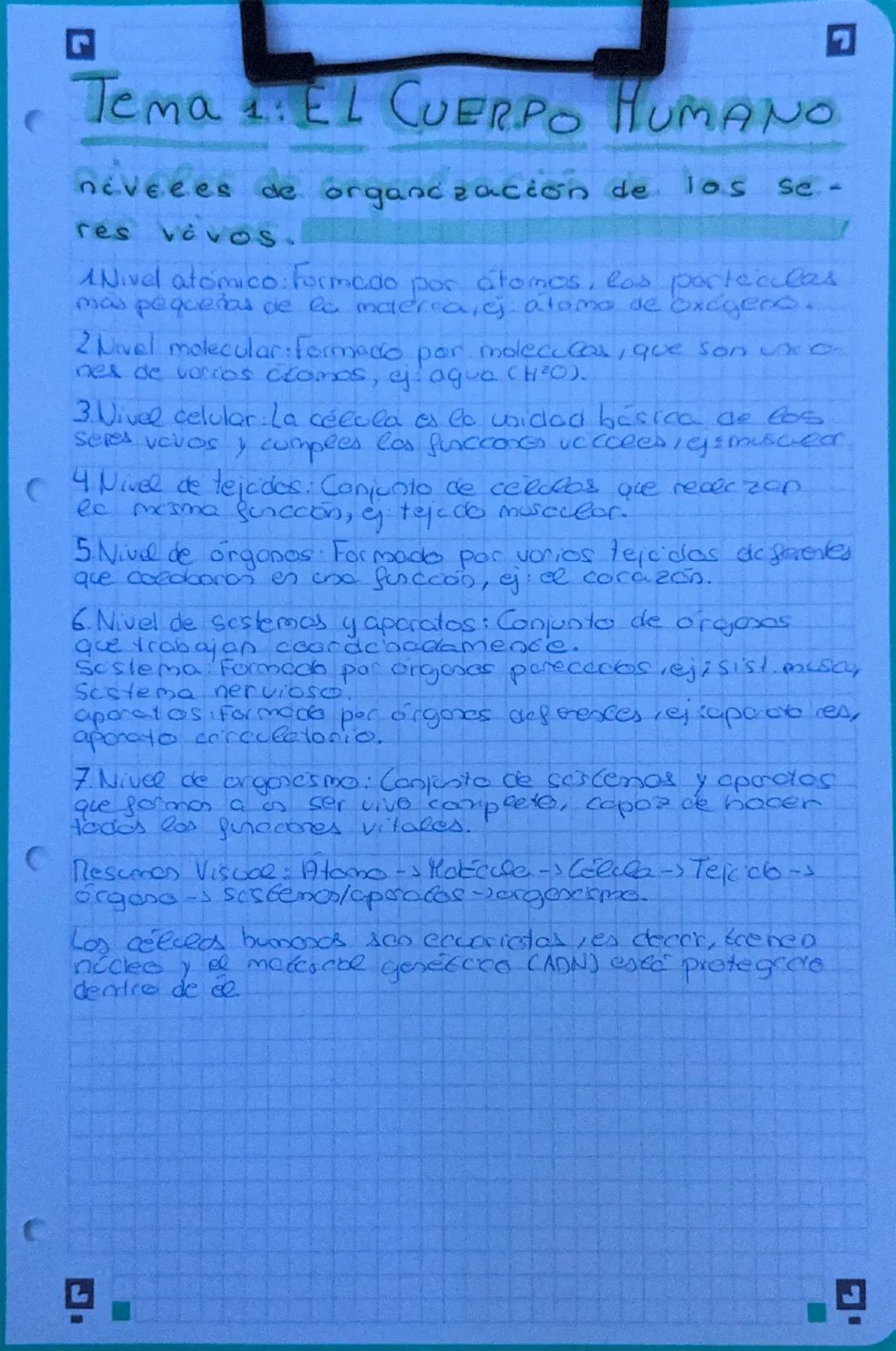 C
G
# Tema 1: EL CUERPO HUMANO

niveees de organización de los se-

res vivos.

1 Nivel atómico: formado por átomos, las portecclas
más pequ