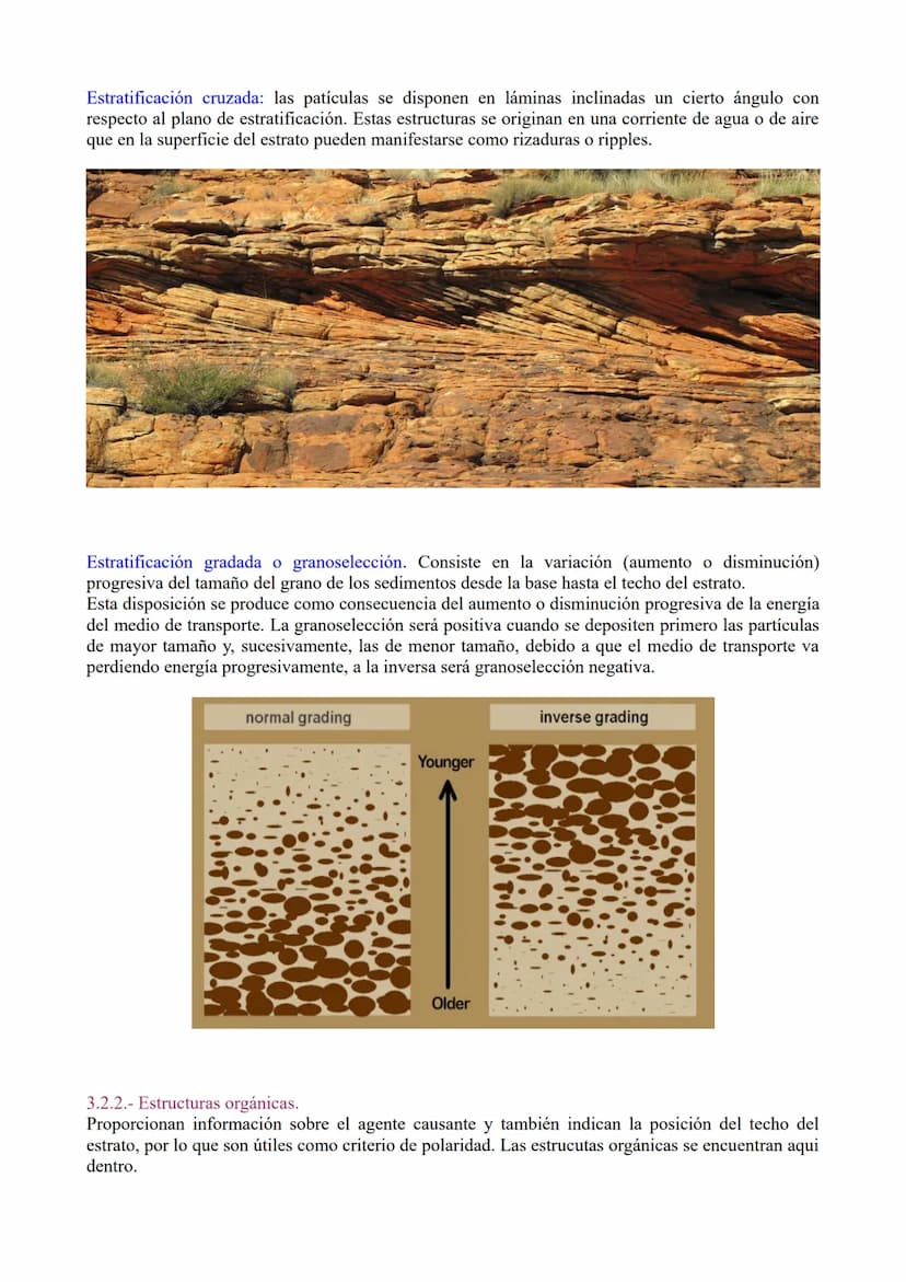 TEMA 3: Las rocas. Rocas sedimentaias.
1.- Ciclo de las rocas
2.- Sedimentación y rocas sedimentarias.
3.- Estrstificación y estructuras sed