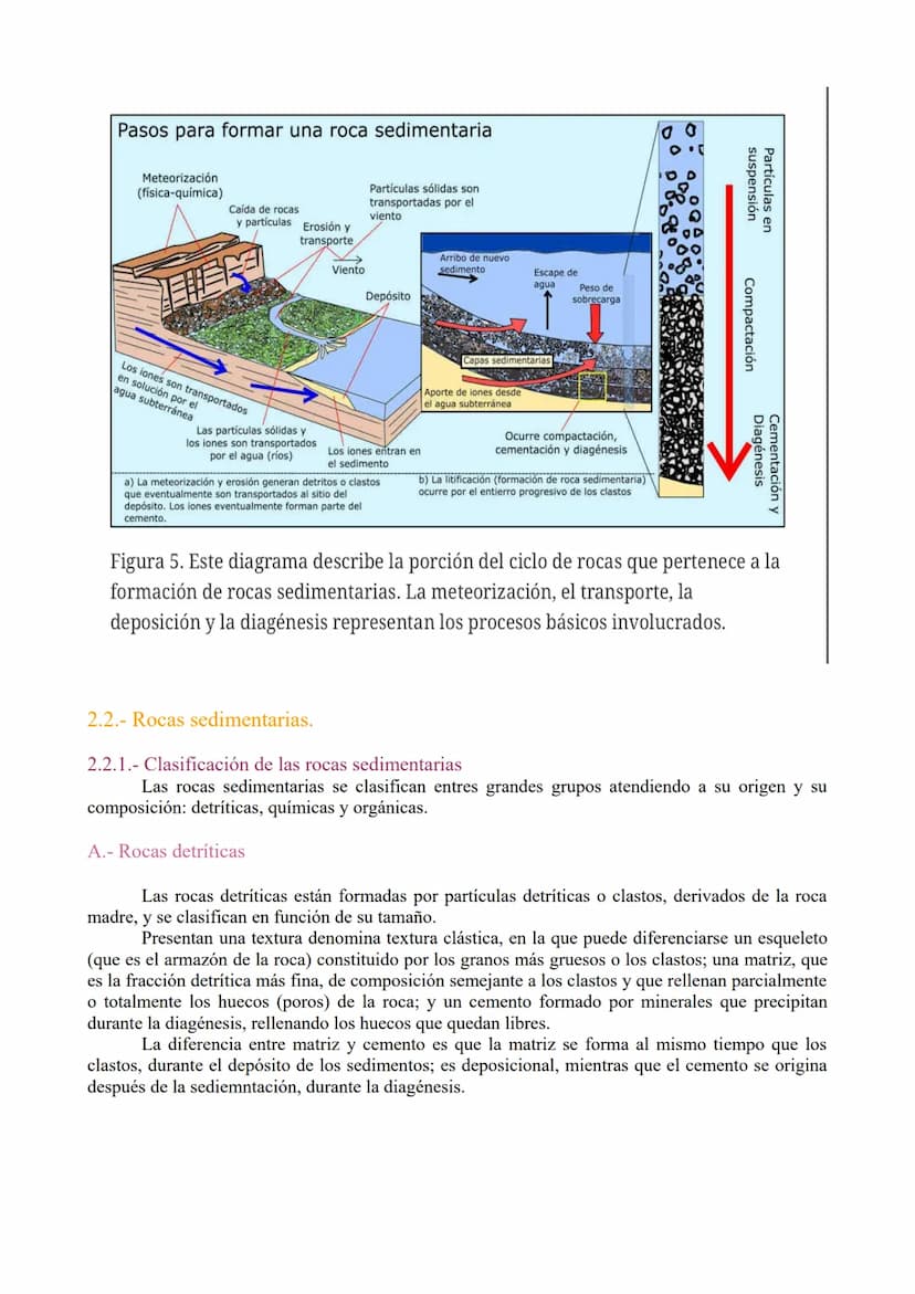 TEMA 3: Las rocas. Rocas sedimentaias.
1.- Ciclo de las rocas
2.- Sedimentación y rocas sedimentarias.
3.- Estrstificación y estructuras sed