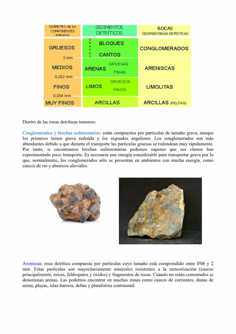 TEMA 3: Las rocas. Rocas sedimentaias.
1.- Ciclo de las rocas
2.- Sedimentación y rocas sedimentarias.
3.- Estrstificación y estructuras sed