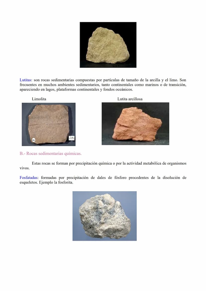 TEMA 3: Las rocas. Rocas sedimentaias.
1.- Ciclo de las rocas
2.- Sedimentación y rocas sedimentarias.
3.- Estrstificación y estructuras sed