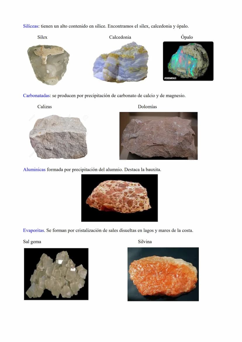 TEMA 3: Las rocas. Rocas sedimentaias.
1.- Ciclo de las rocas
2.- Sedimentación y rocas sedimentarias.
3.- Estrstificación y estructuras sed