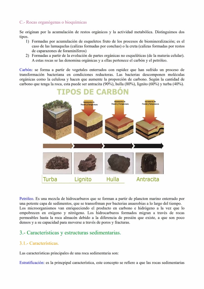 TEMA 3: Las rocas. Rocas sedimentaias.
1.- Ciclo de las rocas
2.- Sedimentación y rocas sedimentarias.
3.- Estrstificación y estructuras sed