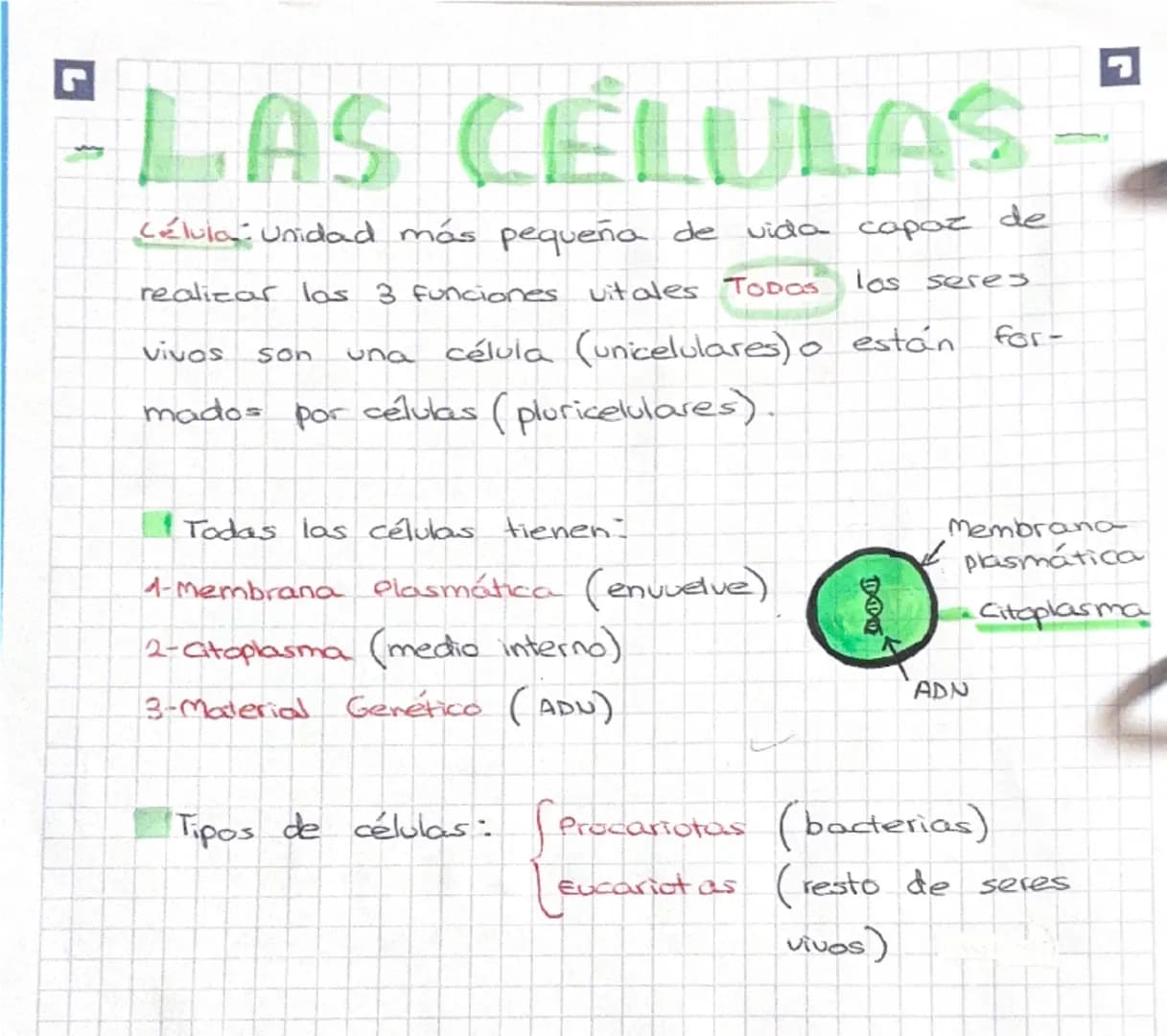 - LAS CÉLULAS-

Célula: Unidad más pequeña de vida capaz de
realizar los 3 funciones vitales Todos los seres
vivos son una célula (unicelula