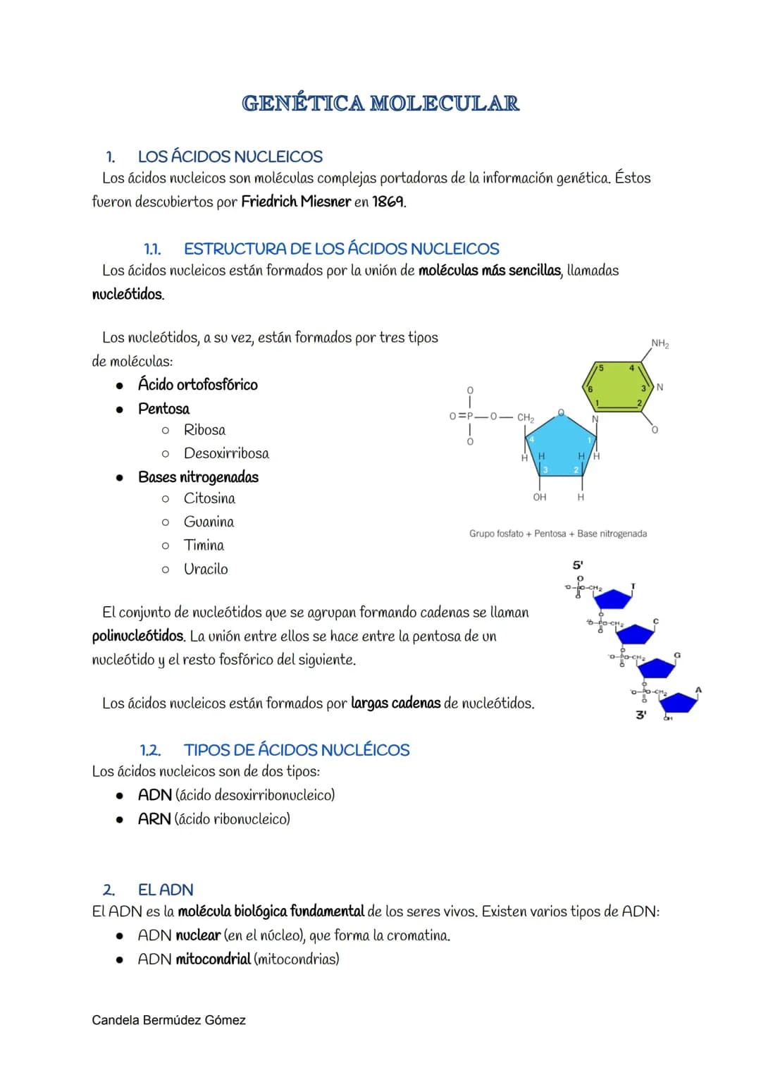 Genética Molecular 