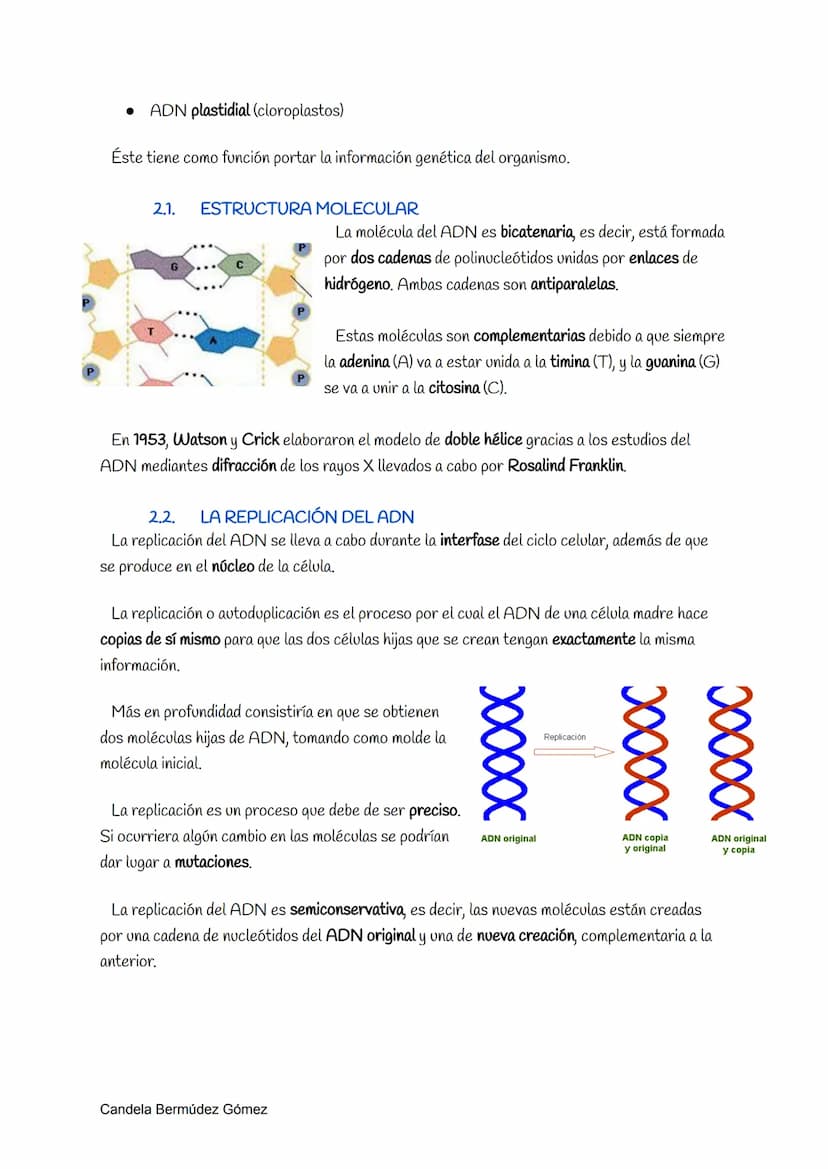 1.
LOS ÁCIDOS NUCLEICOS
Los ácidos nucleicos son moléculas complejas portadoras de la información genética. Éstos
fueron descubiertos por Fr