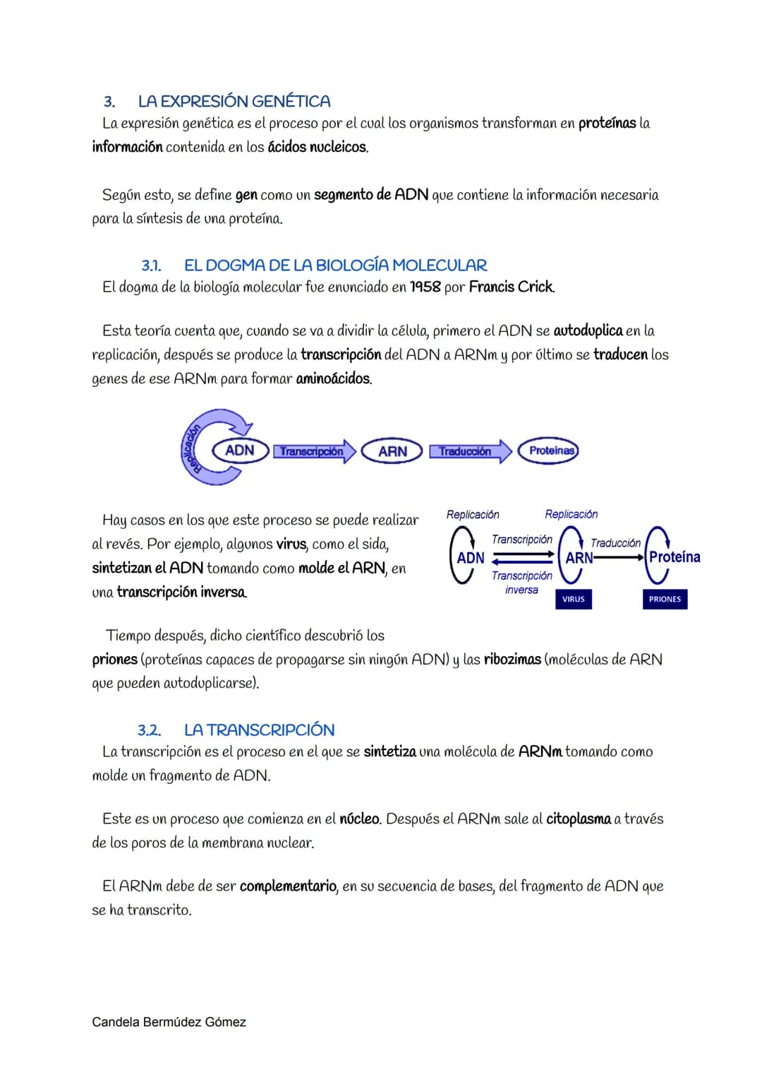 1.
LOS ÁCIDOS NUCLEICOS
Los ácidos nucleicos son moléculas complejas portadoras de la información genética. Éstos
fueron descubiertos por Fr
