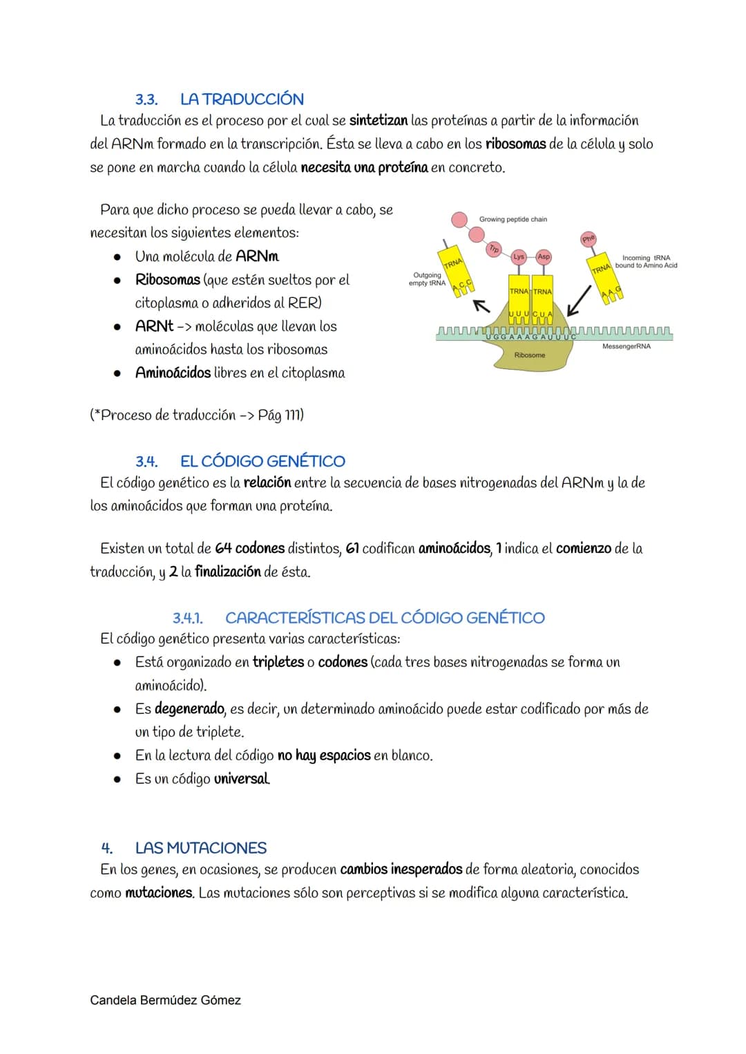 1.
LOS ÁCIDOS NUCLEICOS
Los ácidos nucleicos son moléculas complejas portadoras de la información genética. Éstos
fueron descubiertos por Fr