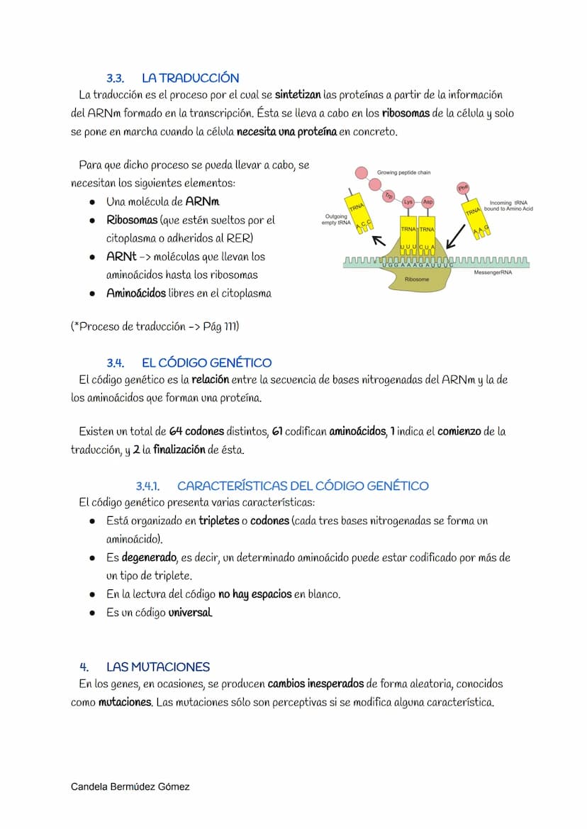 1.
LOS ÁCIDOS NUCLEICOS
Los ácidos nucleicos son moléculas complejas portadoras de la información genética. Éstos
fueron descubiertos por Fr
