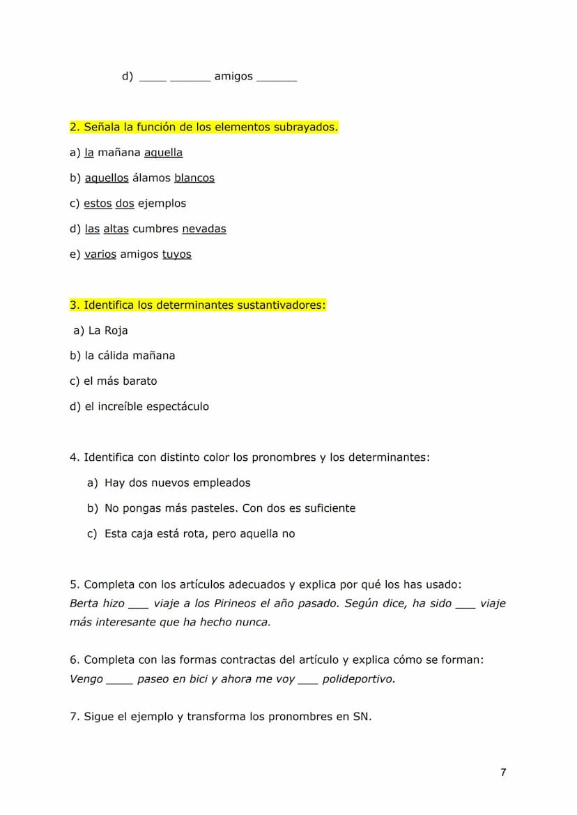 SN: DETERMINANTES Y PRONOMBRES
Los elementos del SN
Recordemos la estructura del sintagma nominal:
Mi camisa verde
MOD. N
La palabra más imp