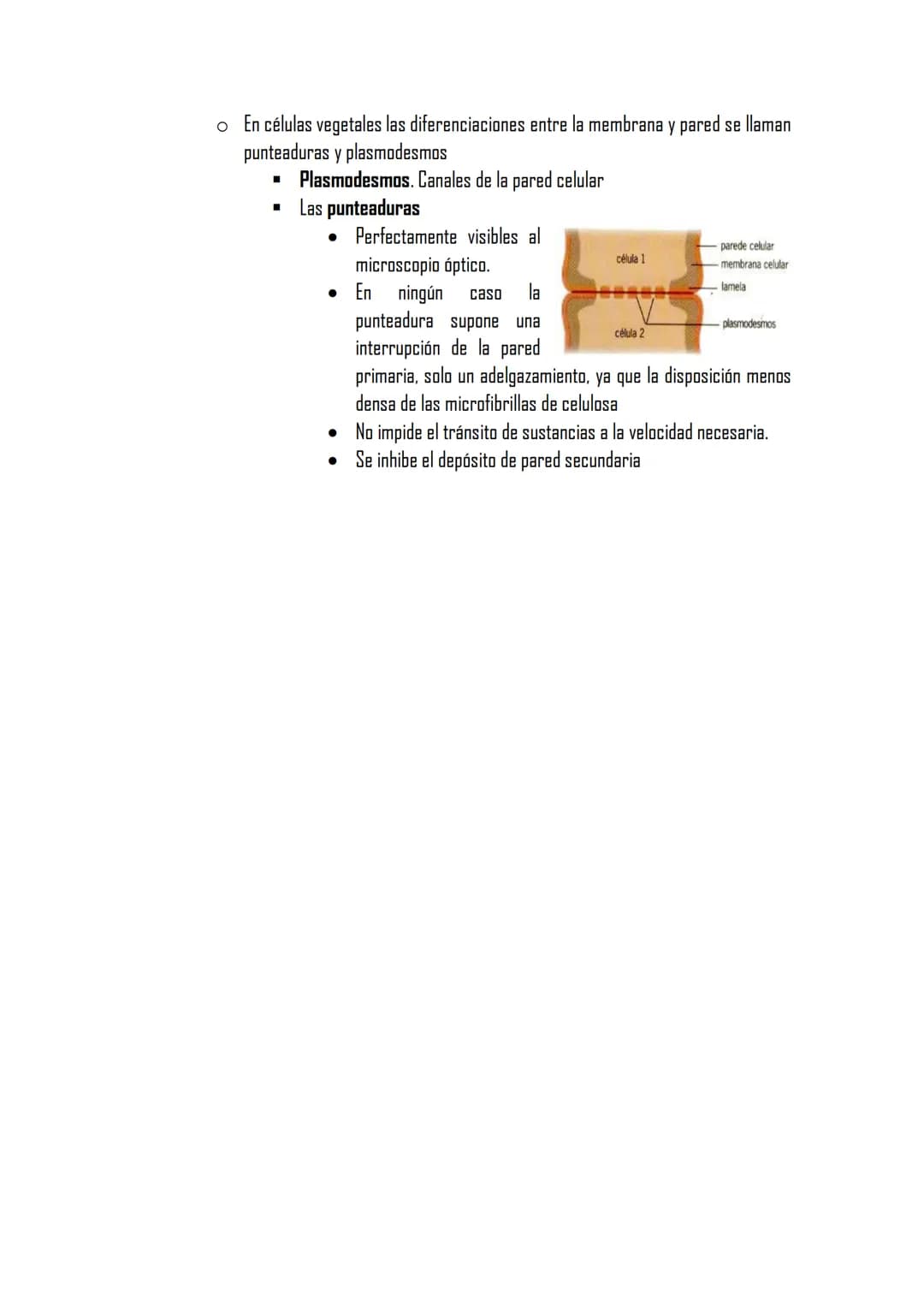 2.3 LA MEMBRANA PLASMÁTICA
Posee la misma estructura en todas las
células
MET aparece como dos bandas oscuras
separadas de una clara con esp