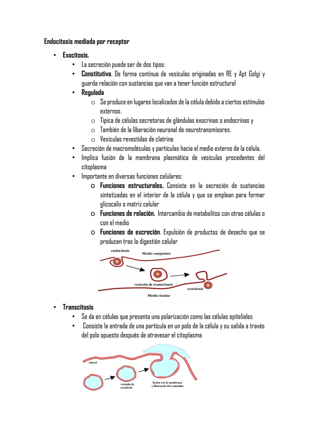 2.3 LA MEMBRANA PLASMÁTICA
Posee la misma estructura en todas las
células
MET aparece como dos bandas oscuras
separadas de una clara con esp