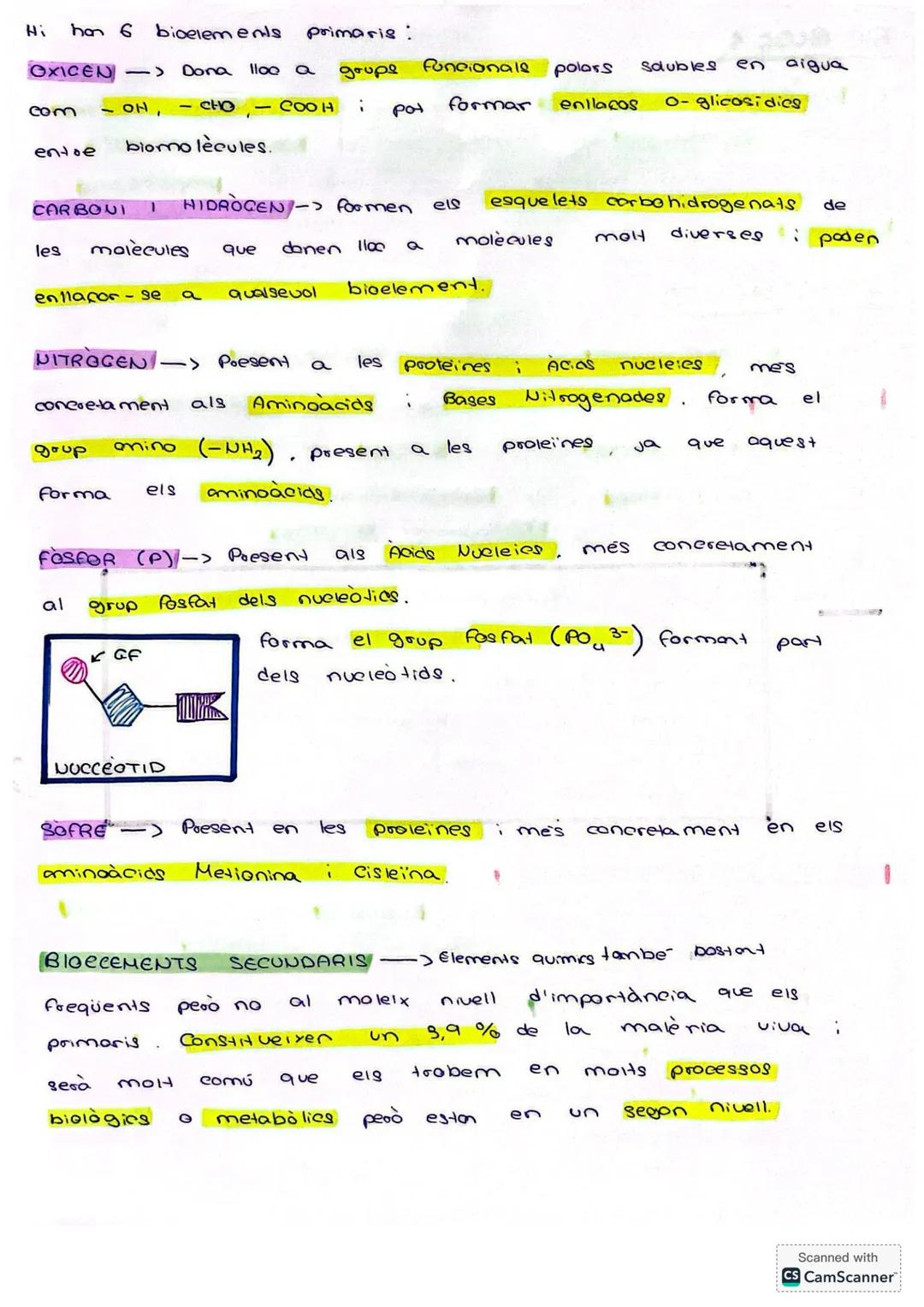 # BIO BLOC 1

Els essers vius estan formats per una sèrie de elements químics
que 360 els mateixos que formen part de materials ines
de la T