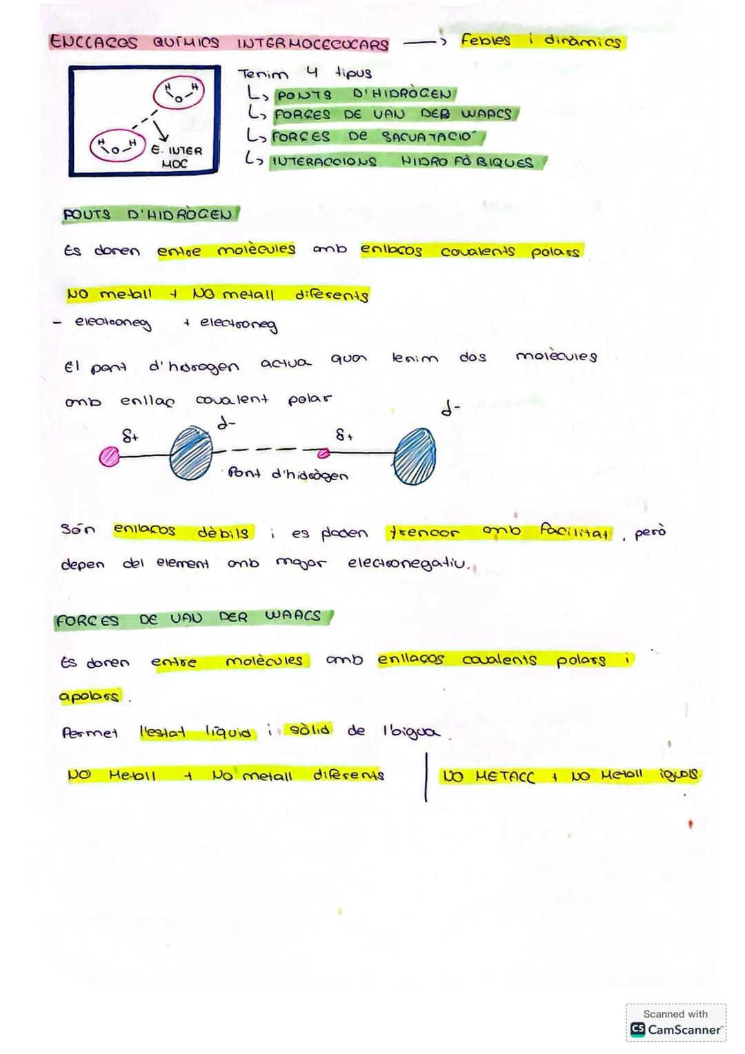 # BIO BLOC 1

Els essers vius estan formats per una sèrie de elements químics
que 360 els mateixos que formen part de materials ines
de la T