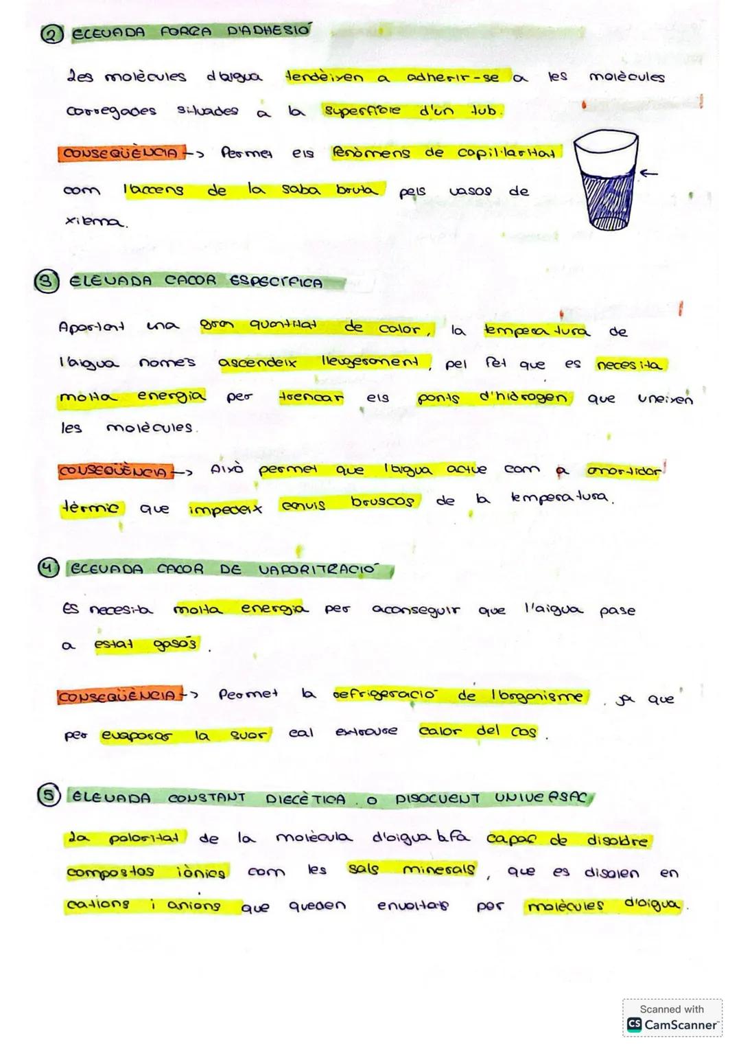 # BIO BLOC 1

Els essers vius estan formats per una sèrie de elements químics
que 360 els mateixos que formen part de materials ines
de la T