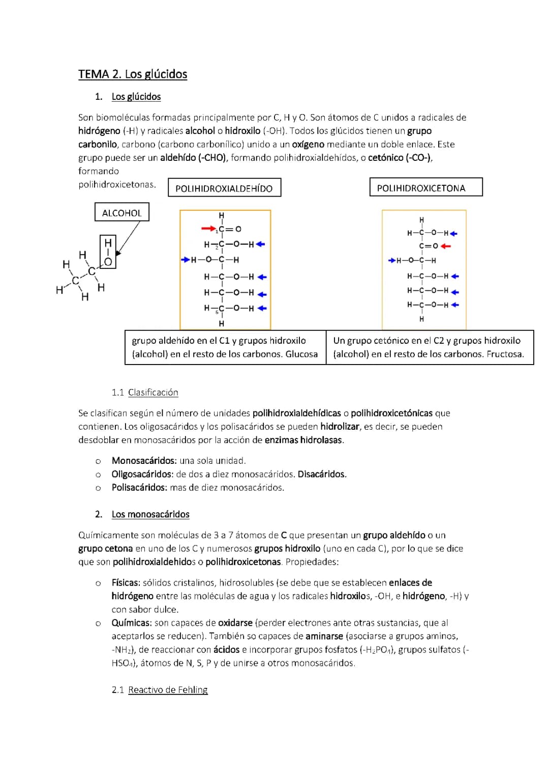 Los glúcidos