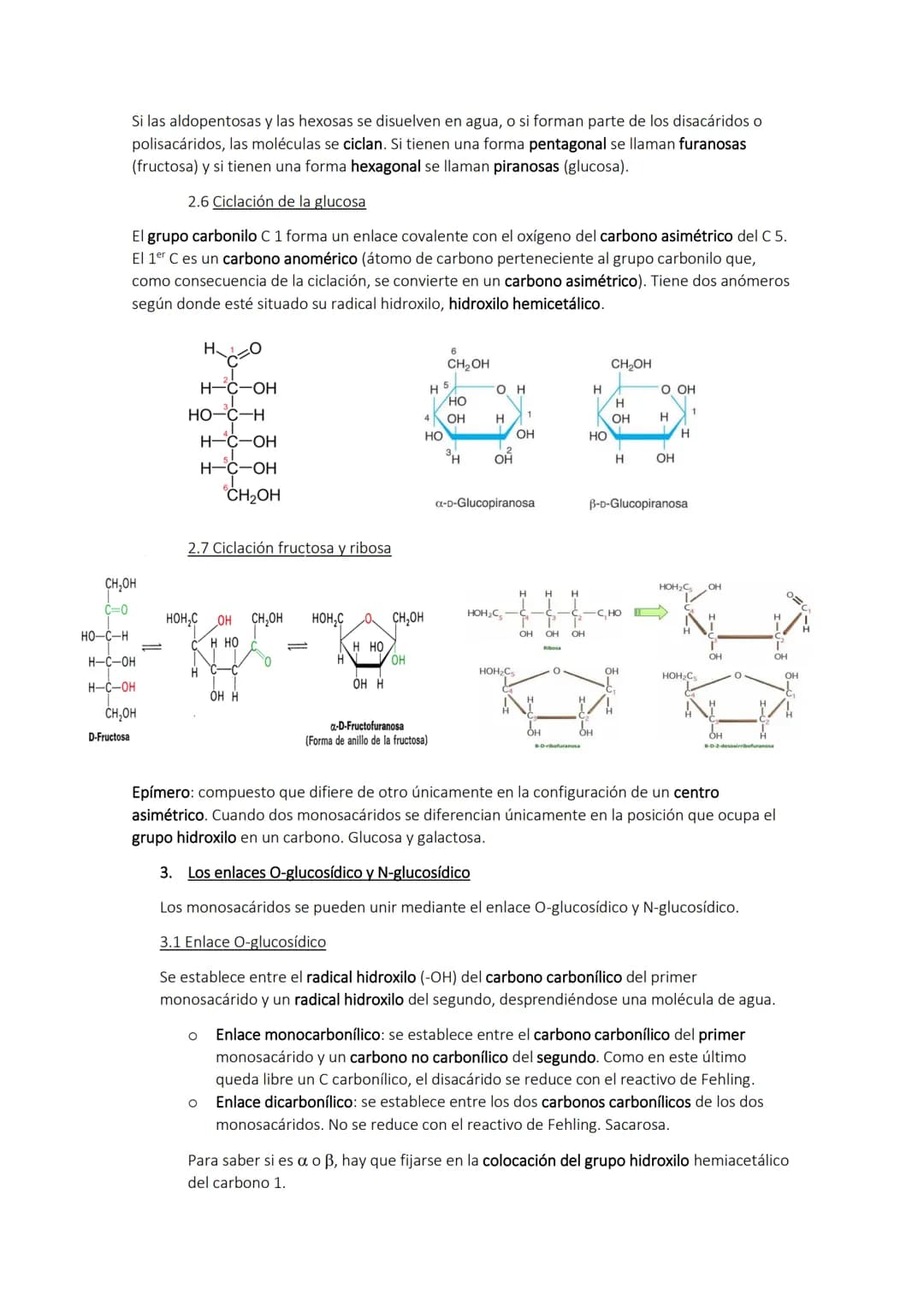 H
TEMA 2. Los glúcidos
1. Los glúcidos
Son biomoléculas formadas principalmente por C, H y O. Son átomos de C unidos a radicales de
hidrógen